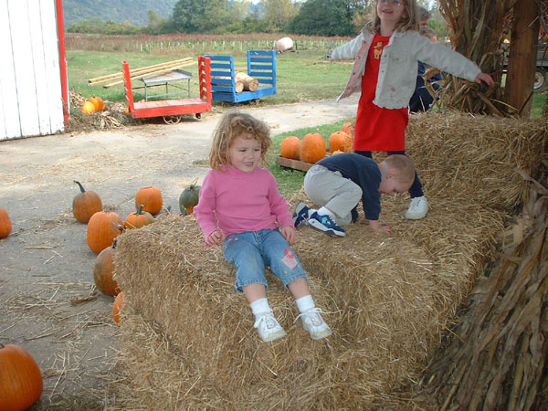 Jumping around on a bale of hay- what fun.jpg 115.9K